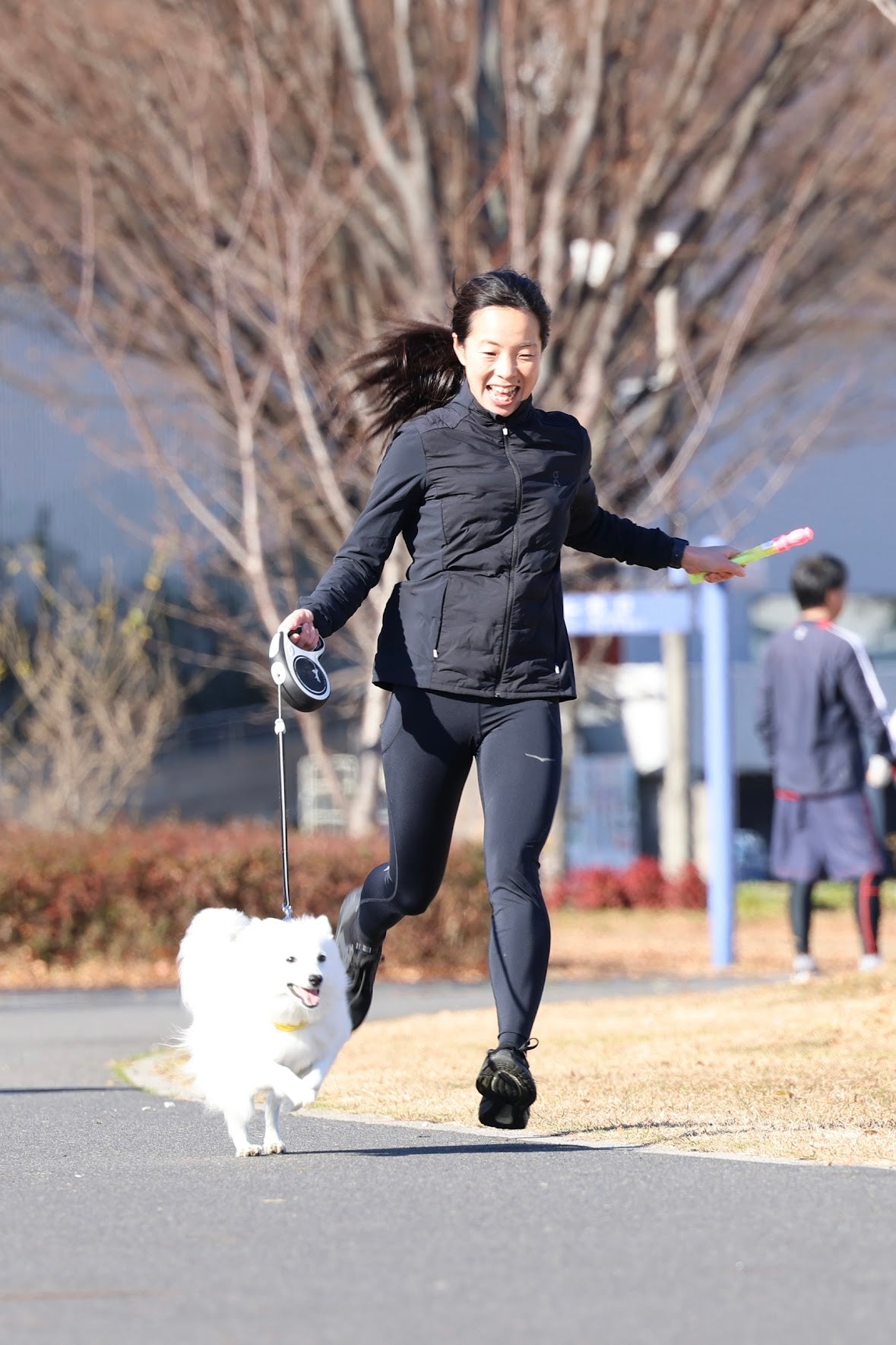 Collection of  in a gallery layout